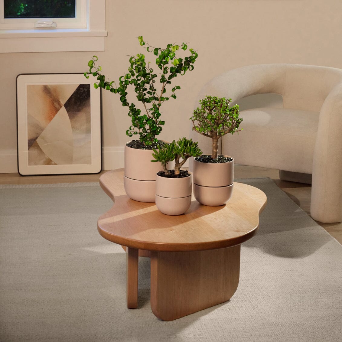 Large Planter - Image 14